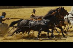 开云体育-罗马遭遇惨败，输掉关键比赛