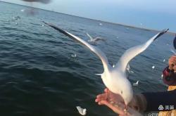 开云体育官方网站-关于拜仁腰斩企鹅再续传奇之路赢得万千爱戴的信息