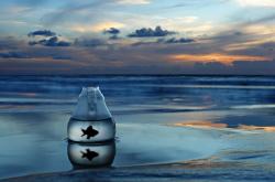 开云足球直播-戈麦斯压力下完成爆发，沙特资本如何收割贝蒂斯？