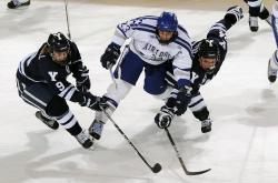 开云体育官网-光芒破晓，哈登关键一击，太阳力克雄鹿的战术启示