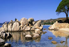 开云体育官方网站-福建队轻取马刺，塔图姆高光表现的简单介绍