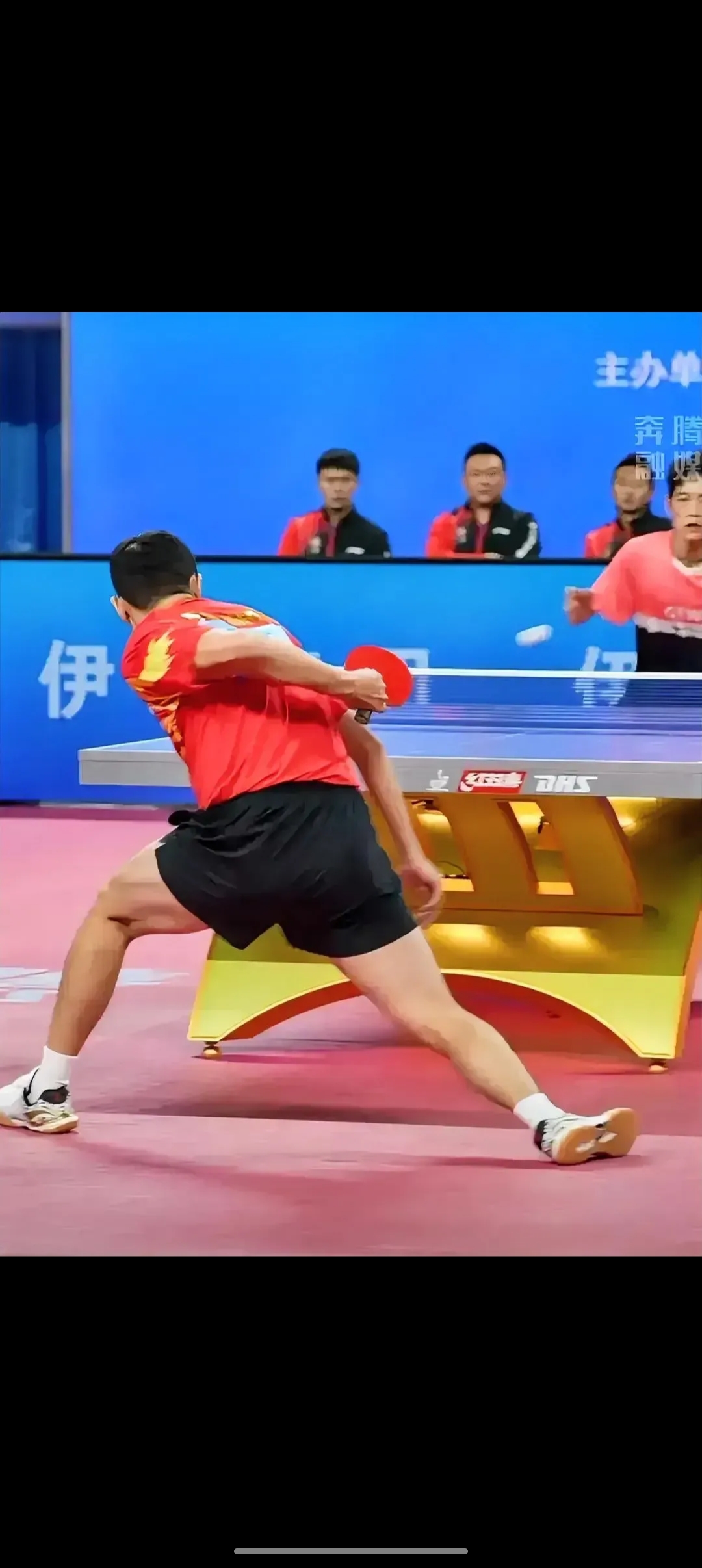 关于日本乒乓球队险胜比利时乒乓球队，许昕关键制胜的信息