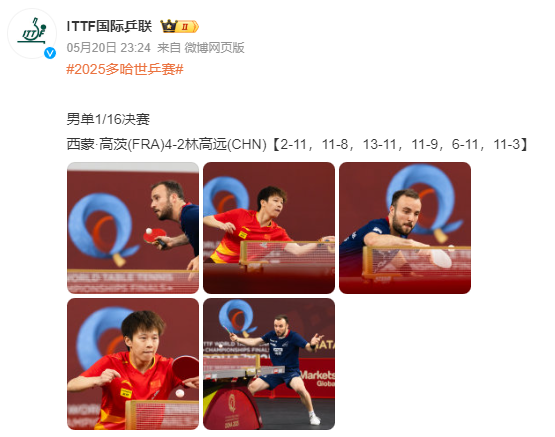 包含中国队鏖战法国队，林高远点燃赛场的词条