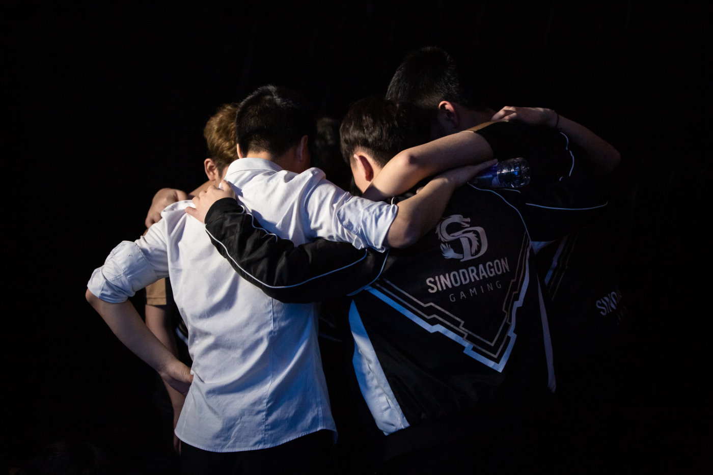 包含体育电竞热播，年轻人疯狂追逐的词条