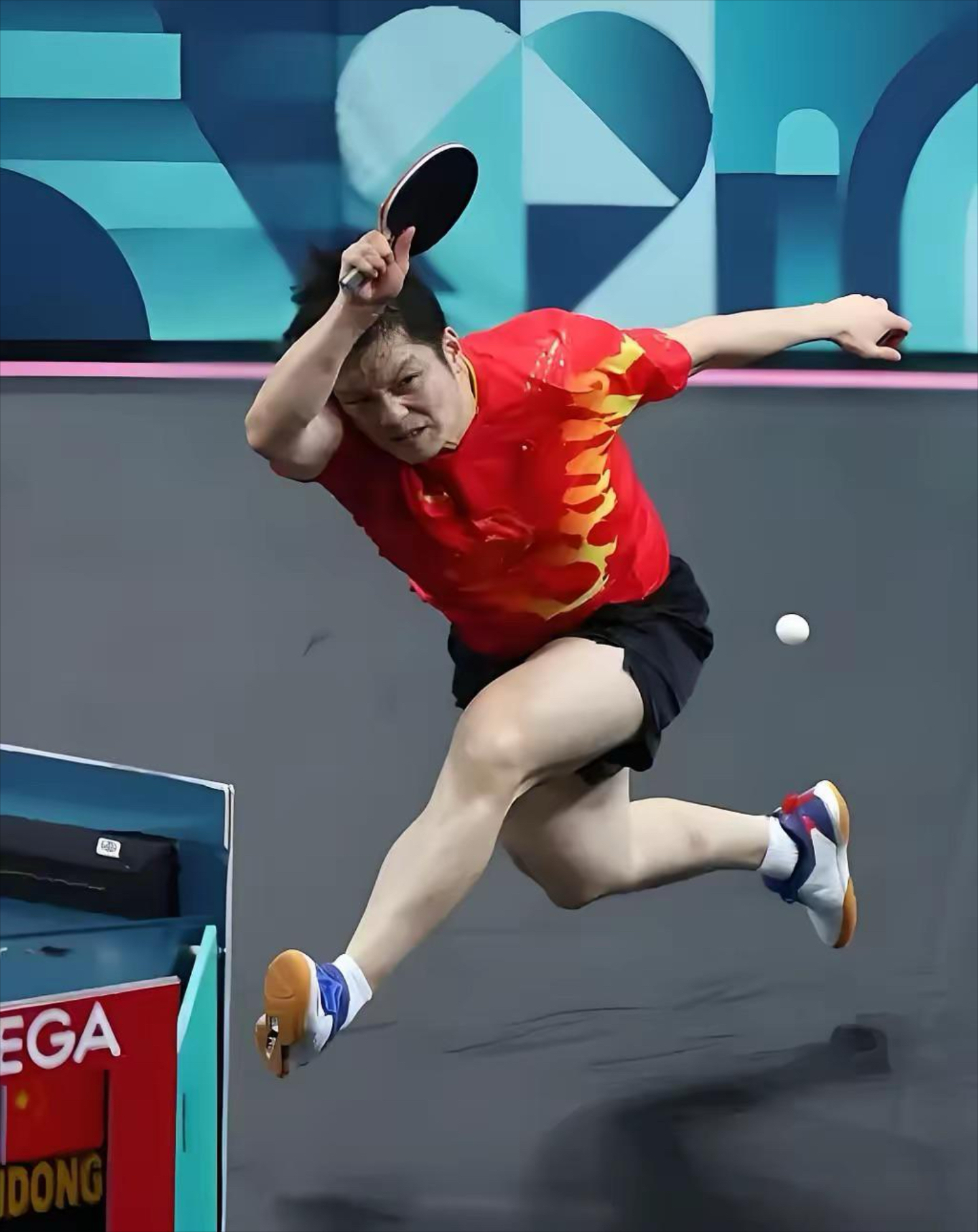 德国队逆转韩国队，樊振东状态火热的简单介绍