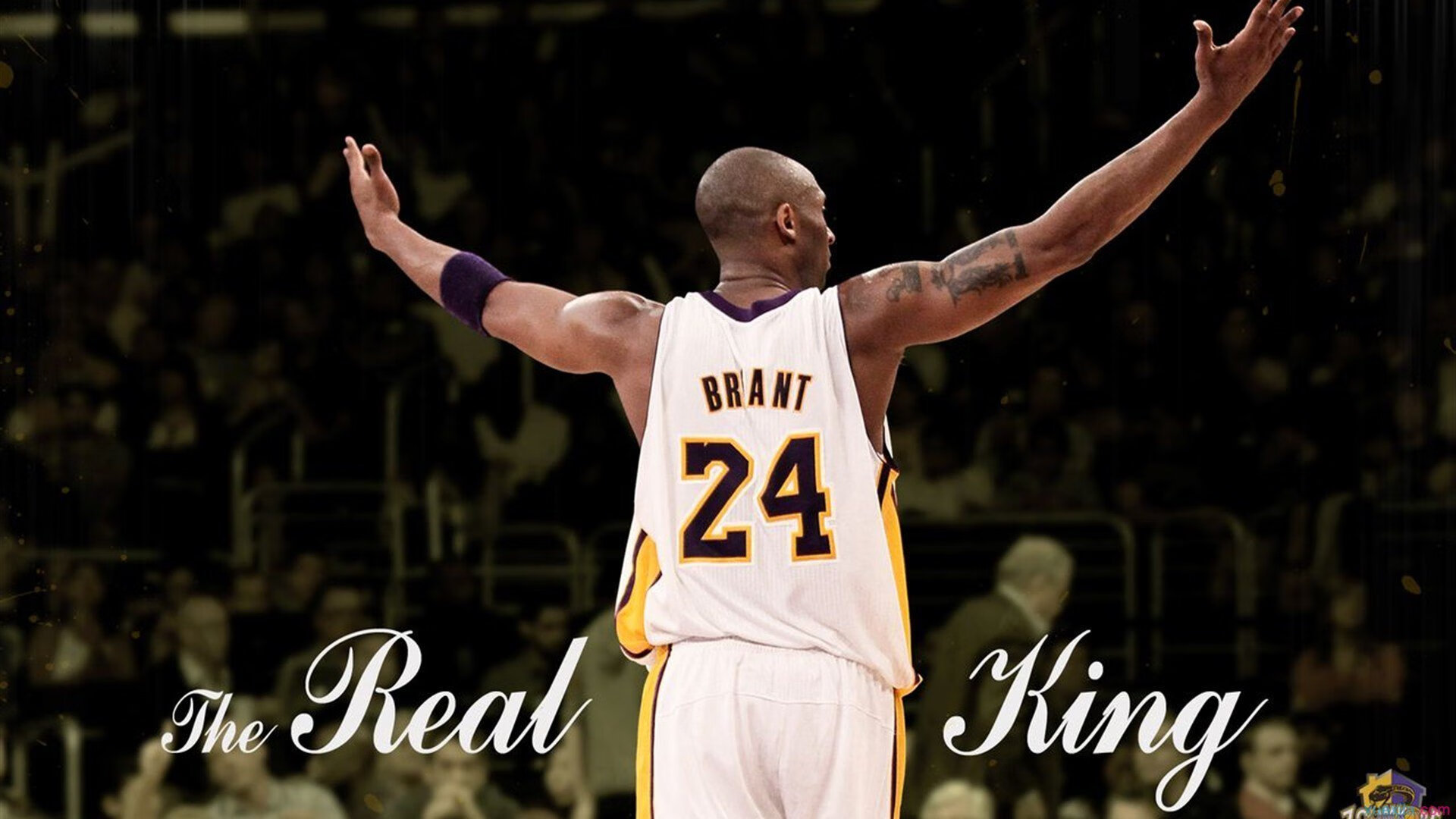 从NBA到世界之巅，灰熊力克奇才的启示与班凯罗在美加墨世界杯的接管时刻